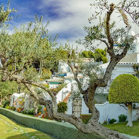 Tetuan 15 - Oasis Nerja